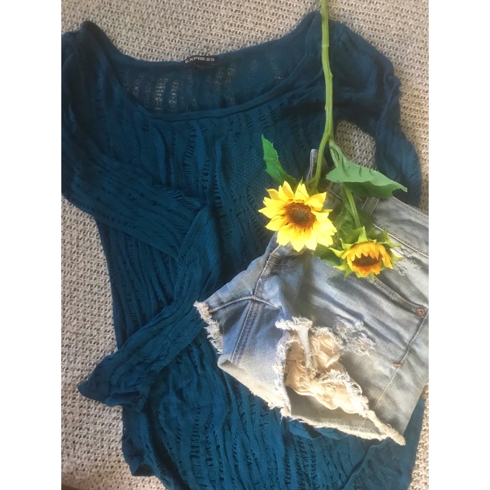 Express Blue-Green Long Sleeve Top - Picture 3 of 6